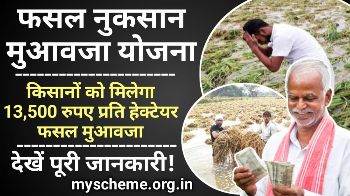 Fasal Nuksan Muaawja 2024: फसल नुकसान मुआवजा, किसानों को मिलेगा 13,500 रुपए प्रति हेक्टेयर फसल मुआवजा, My Scheme, PM Modi Yojana
