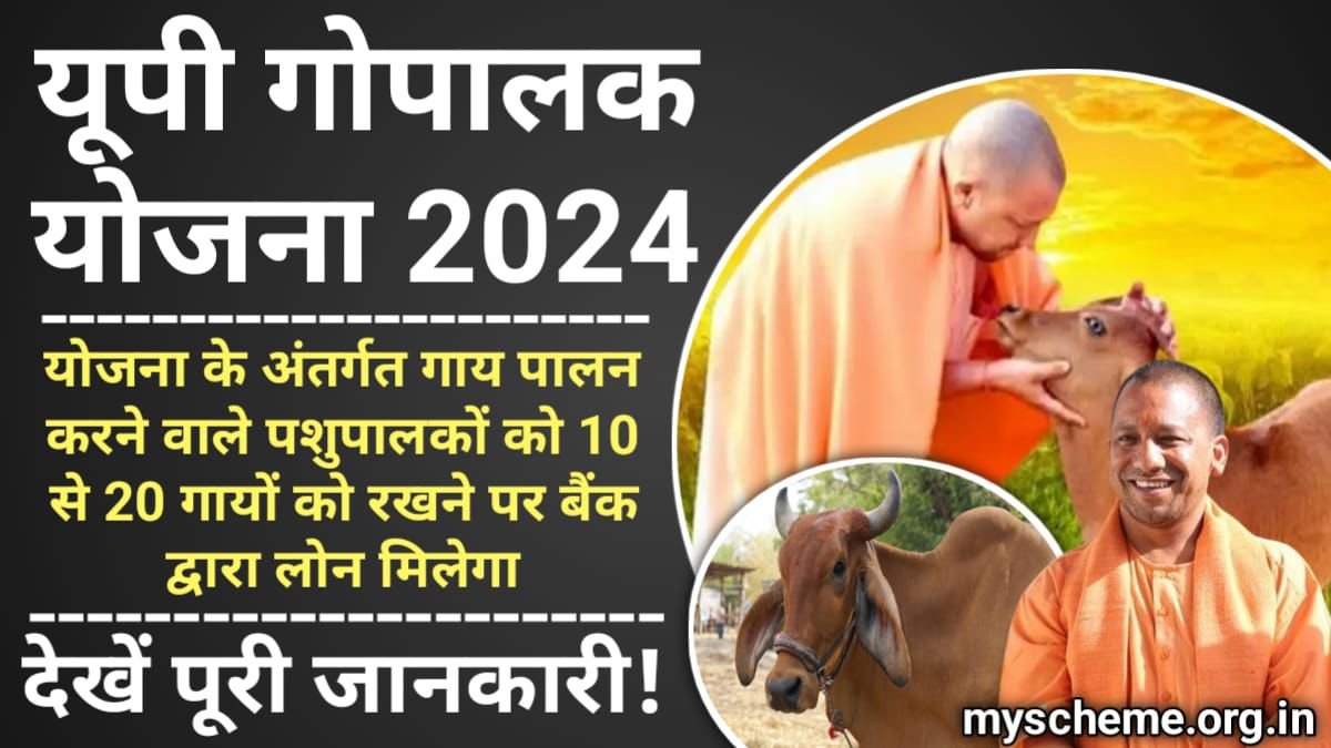 UP Gopalak Yojana 2024: यूपी गोपालक योजना ऑनलाइन आवेदन, एप्लीकेशन फॉर्म, My Scheme, Sarkari Yojana, PM Modi yojana