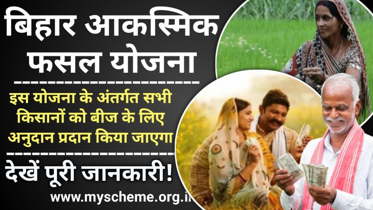 Bihar Aaksmik Fasal Yojana 2024: बिहार आकस्मिक फसल योजना ऑनलाइन आवेदन, किसानों की सरकार देंगी सहायता, My Scheme, Sarkari Yojana